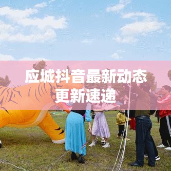 应城抖音最新动态更新速递