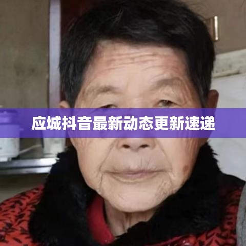 应城抖音最新动态更新速递