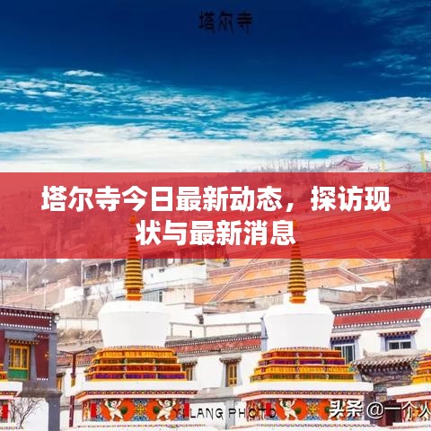 塔尔寺今日最新动态，探访现状与最新消息