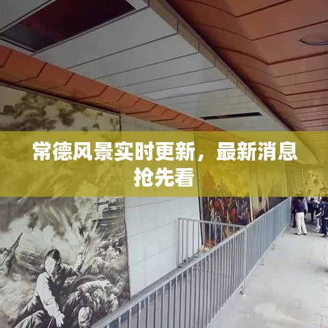 常德风景实时更新,最新消息抢先看