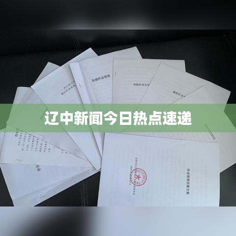 辽中新闻今日热点速递