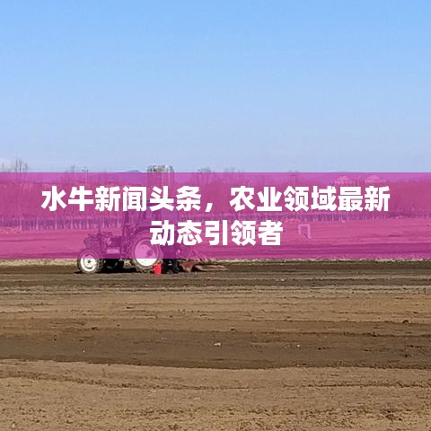 水牛新闻头条,农业领域最新动态引领者