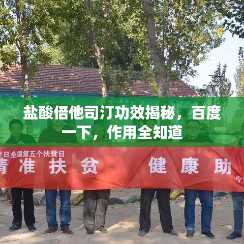 盐酸倍他司汀功效揭秘,百度一下,作用全知道