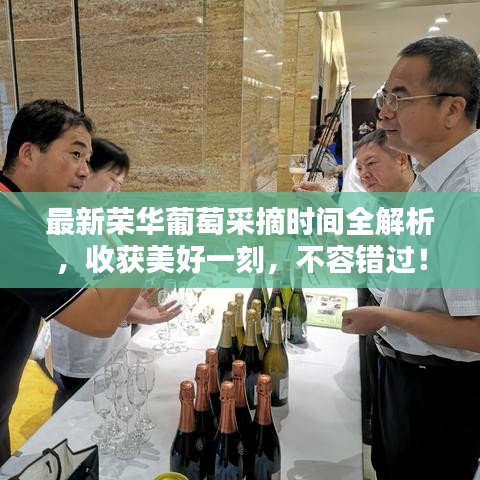 最新荣华葡萄采摘时间全解析,收获美好一刻,不容错过!