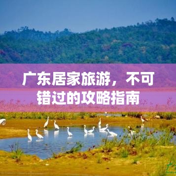 广东居家旅游,不可错过的攻略指南