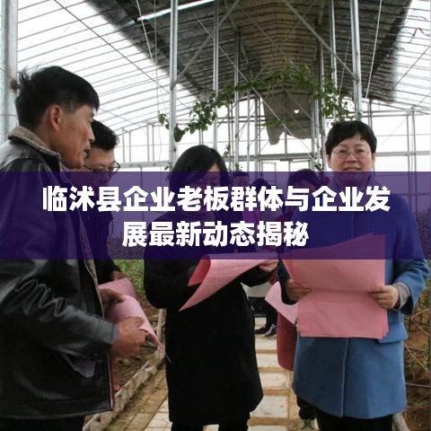 临沭县企业老板群体与企业发展最新动态揭秘