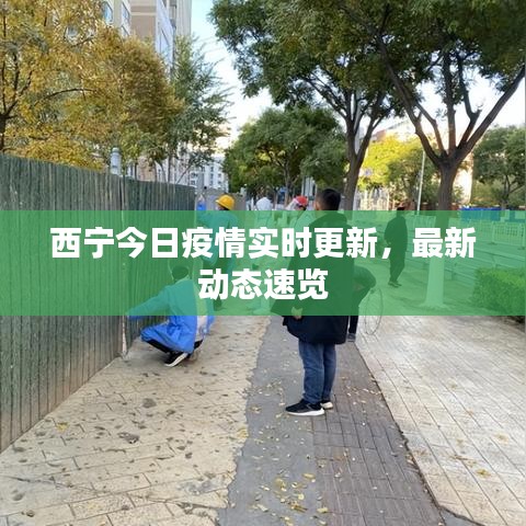 西宁今日疫情实时更新,最新动态速览