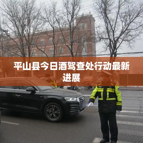 平山县今日酒驾查处行动最新进展
