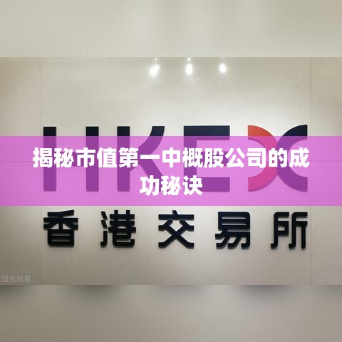 揭秘市值第一中概股公司的成功秘诀