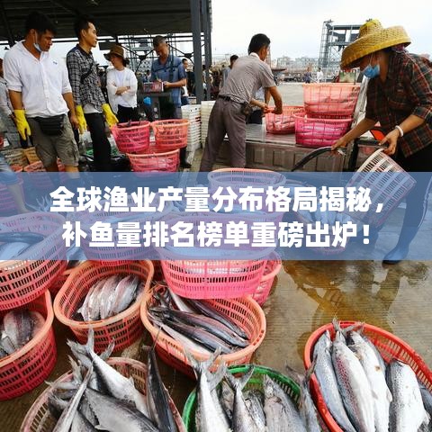 全球渔业产量分布格局揭秘,补鱼量排名榜单重磅出炉!