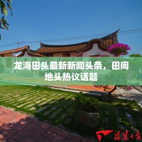 龙海田头最新新闻头条,田间地头热议话题