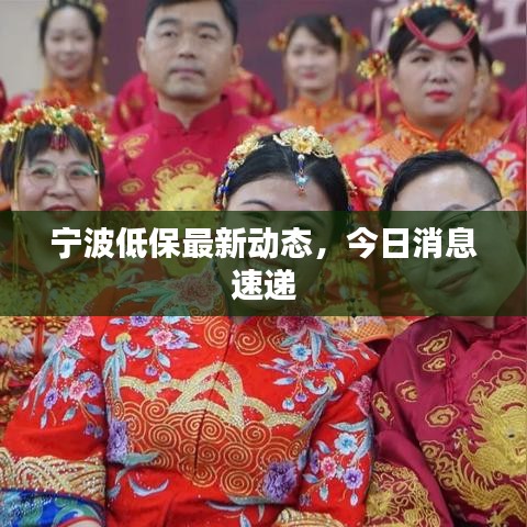 宁波低保最新动态,今日消息速递