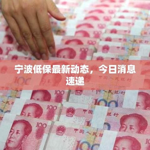 宁波低保最新动态,今日消息速递