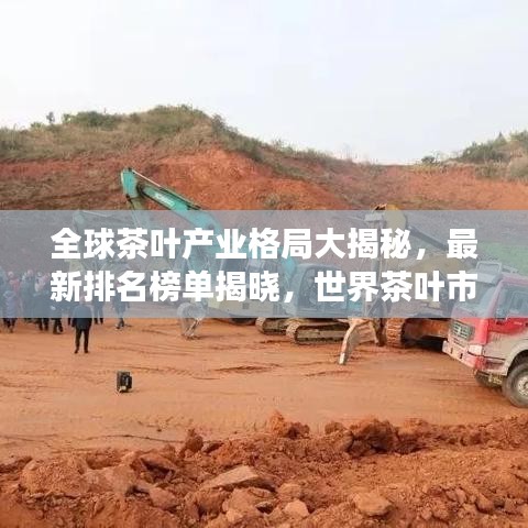 全球茶叶产业格局大揭秘,最新排名榜单揭晓,世界茶叶市场趋势探索