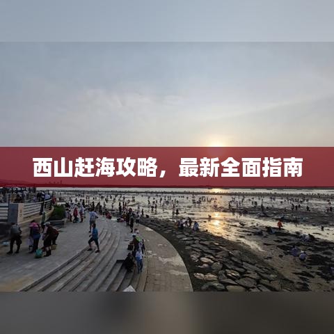 西山赶海攻略，最新全面指南