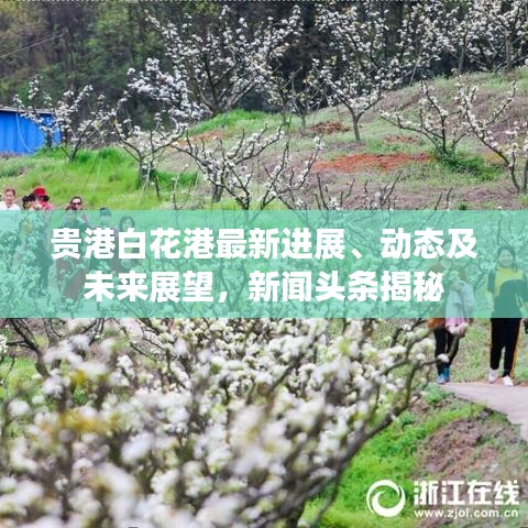 贵港白花港最新进展、动态及未来展望,新闻头条揭秘