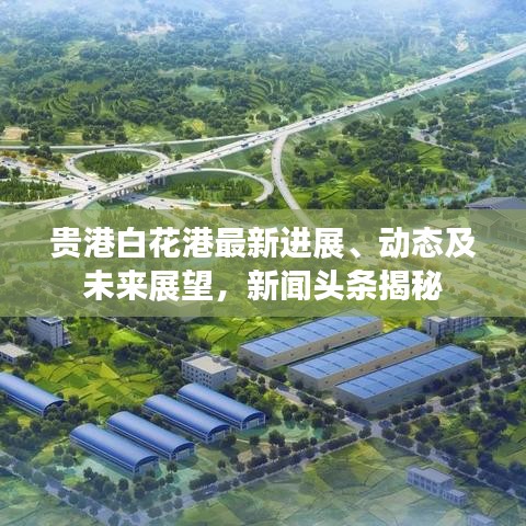 贵港白花港最新进展、动态及未来展望,新闻头条揭秘