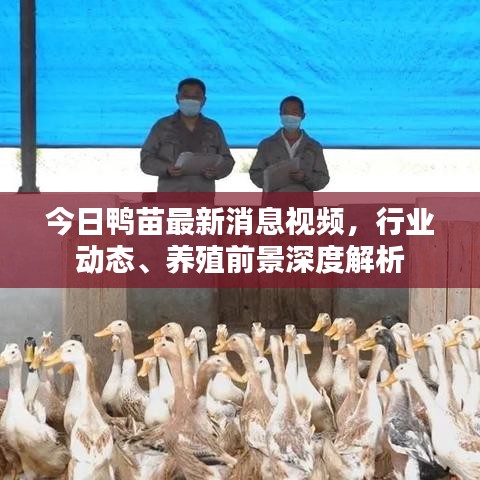 声如洪钟 第4页