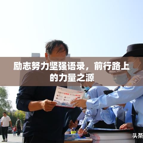 励志努力坚强语录，前行路上的力量之源