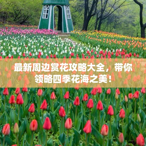 最新周边赏花攻略大全,带你领略四季花海之美!