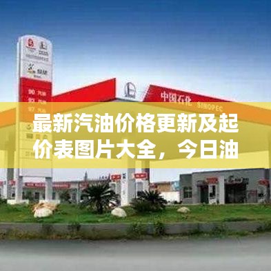 最新汽油价格更新及起价表图片大全,今日油价走势一网打尽