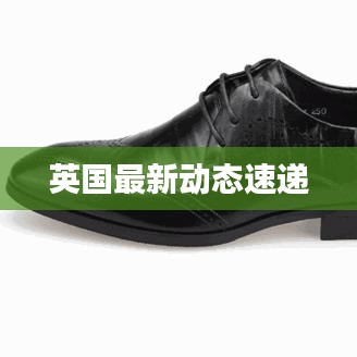 英国最新动态速递