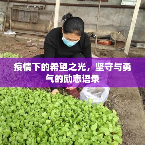 疫情下的希望之光,坚守与勇气的励志语录