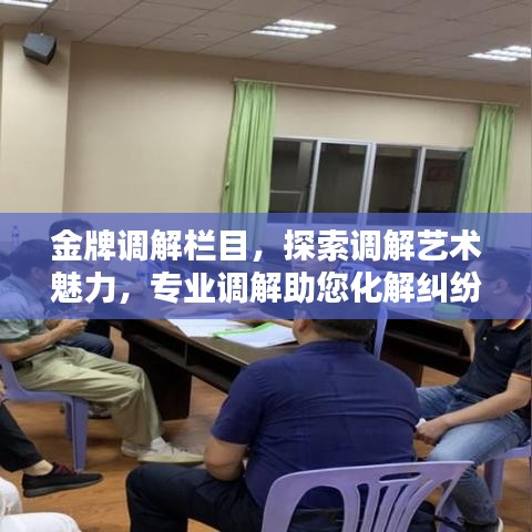 金牌调解栏目,探索调解艺术魅力,专业调解助您化解纠纷