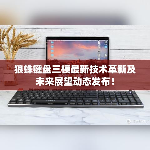狼蛛键盘三模最新技术革新及未来展望动态发布!