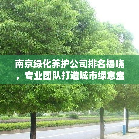 南京绿化养护公司排名揭晓,专业团队打造城市绿意盎然!