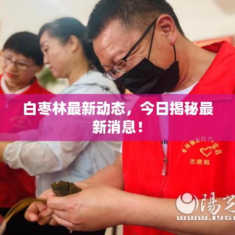 白枣林最新动态,今日揭秘最新消息!