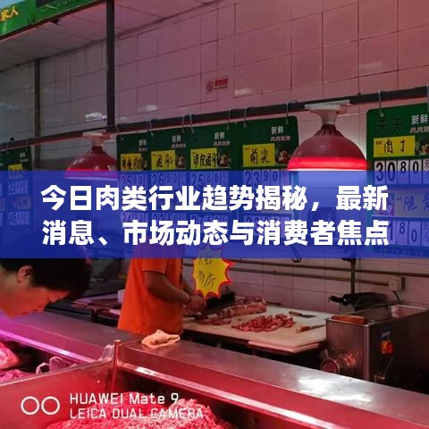今日肉类行业趋势揭秘,最新消息、市场动态与消费者焦点关注