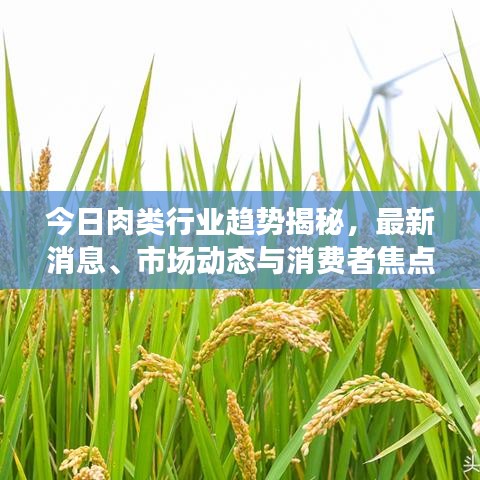 今日肉类行业趋势揭秘,最新消息、市场动态与消费者焦点关注