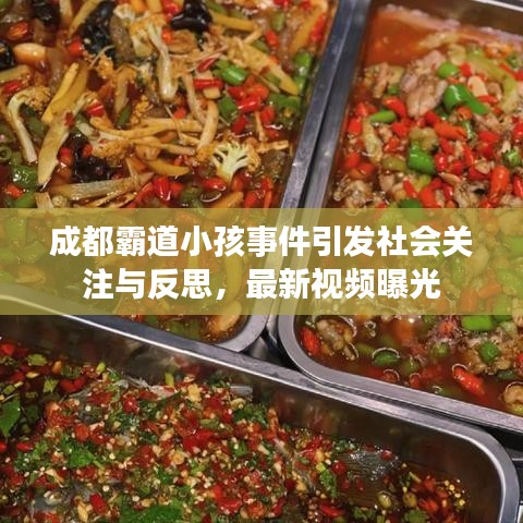 成都霸道小孩事件引发社会关注与反思,最新视频曝光