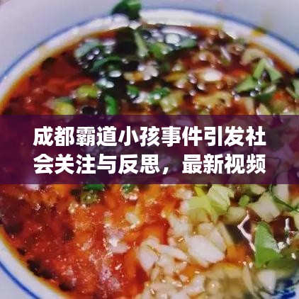 成都霸道小孩事件引发社会关注与反思,最新视频曝光