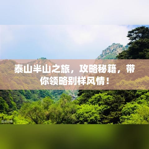 泰山半山之旅,攻略秘籍,带你领略别样风情!