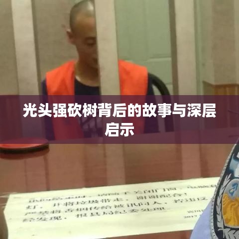 光头强砍树背后的故事与深层启示