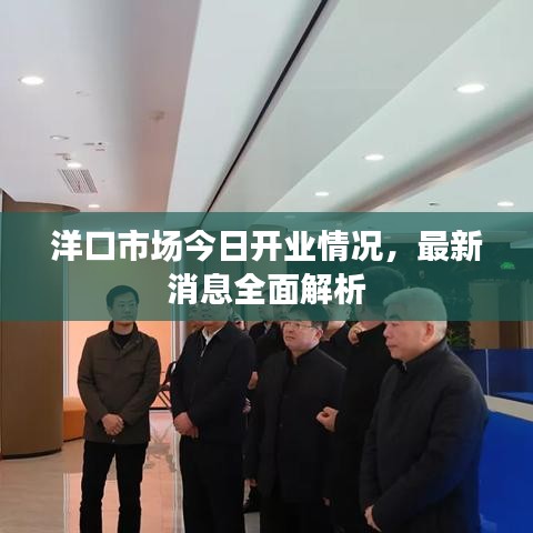 洋口市场今日开业情况,最新消息全面解析
