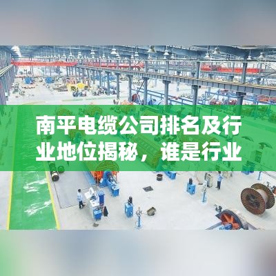 南平电缆公司排名及行业地位揭秘,谁是行业佼佼者?