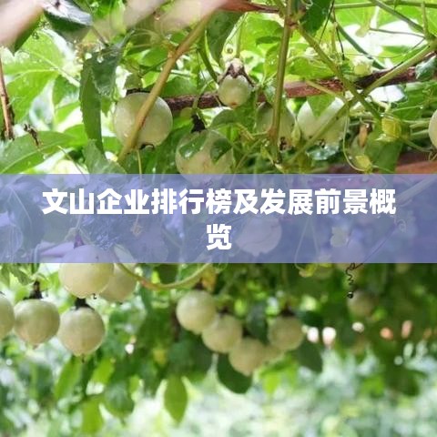 文山企业排行榜及发展前景概览