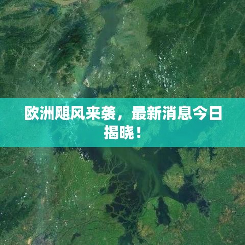 业业兢兢 第4页