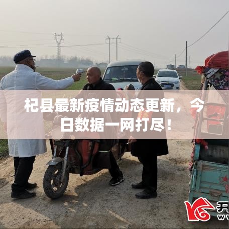 杞县最新疫情动态更新,今日数据一网打尽!