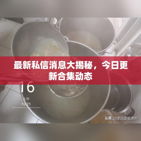 最新私信消息大揭秘，今日更新合集动态