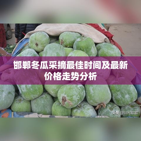 丰容盛鬋 第4页