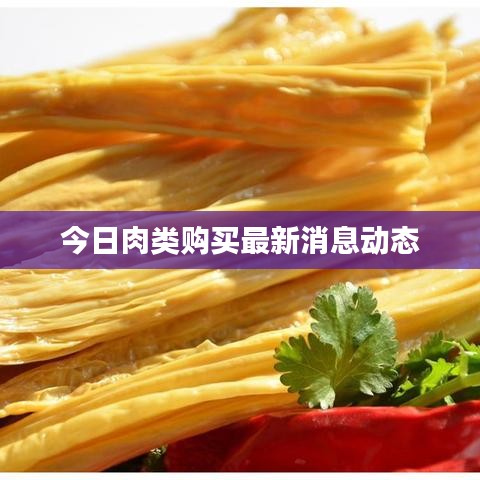 今日肉类购买最新消息动态
