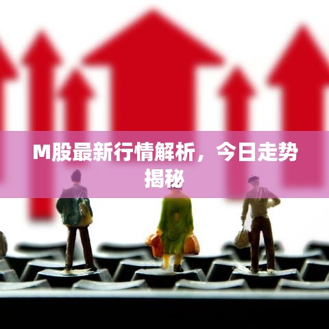 M股最新行情解析，今日走势揭秘