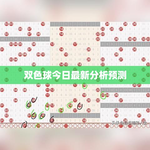 双色球今日最新分析预测