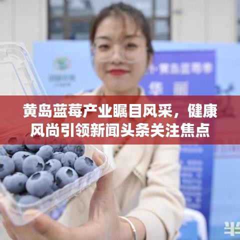 黄岛蓝莓产业瞩目风采,健康风尚引领新闻头条关注焦点