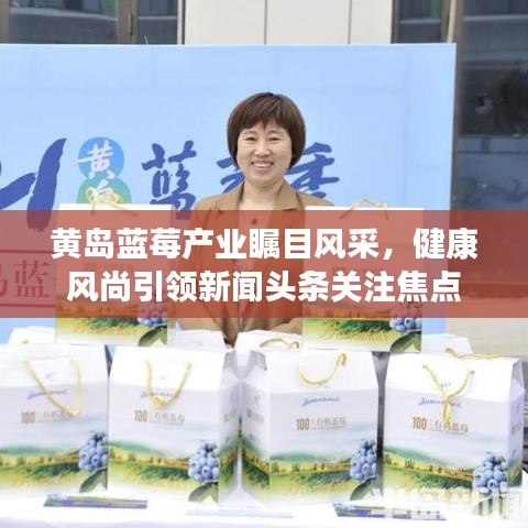黄岛蓝莓产业瞩目风采,健康风尚引领新闻头条关注焦点