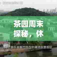 茶园周末探秘,休闲度假好去处